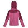 Regatta Childrens/Kids Eastcott II Soft Shell Jacket (Violet/Amarant Haze) 2 Regatta Childrens/Kids Eastcott II Soft Shell Jacket (Violet/Amarant Haze) -Modekleding childrenskids eastcott ii soft shell jacket violetamarant haze