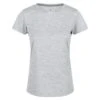 Regatta Dames/dames Fingal Edition Tshirt (Cyberspace Grijs)