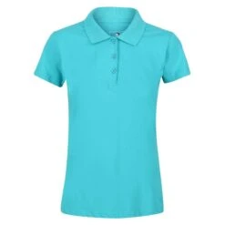 Regatta Dames/Dames Sinton Poloshirt (Turquoise)