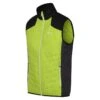 Regatta Halton VI Wandelbodywarmer Voor Heren