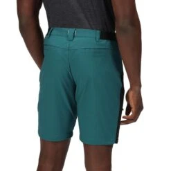 Regatta Heren Highton Pro Shorts (Pacific Groen/Zwart) -Modekleding heren highton pro shorts pacific groenzwart 1