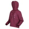 Regatta Junior Highton Extol Overhead Wandelhoody Voor Kinderen 1 Regatta Junior Highton Extol Overhead Wandelhoody Voor Kinderen -Modekleding junior highton extol overhead wandelhoody voor kinderen