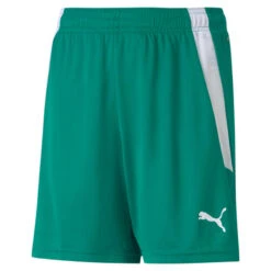 Kinder Shorts Puma Team Liga