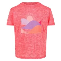 Regatta Kinder/Kids Alvarado VI Marl TShirt (Neon Peach)