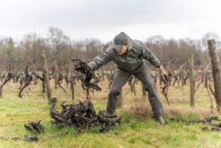 Lichte Regenjas Voor De Jacht 100 -Modekleding lichte regenjas voor de jacht 100 groen 8