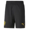 Manchester City FC 22/23 Replica Shorts Heren PUMA