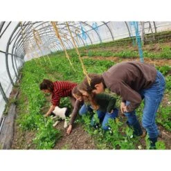 OVERHEMD 100 -Modekleding overhemd 100 rood 12