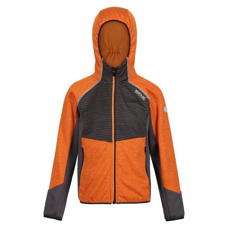 Regatta Prenton Wandelfleece Met Hele Rits Voor Kinderen 5 Regatta Prenton Wandelfleece Met Hele Rits Voor Kinderen - Afbeelding 3