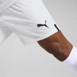 Stade Rennais FC 22/23 Replica Shorts Heren PUMA -Modekleding stade rennais fc 2223 replica shorts heren puma 2