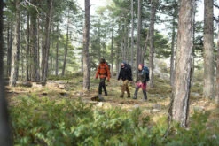 Winddichte Softshelljas Voor Bergtrekking Dames Trek 900 -Modekleding winddichte en warme softshelljas voor backpacken voor dames mt900 19